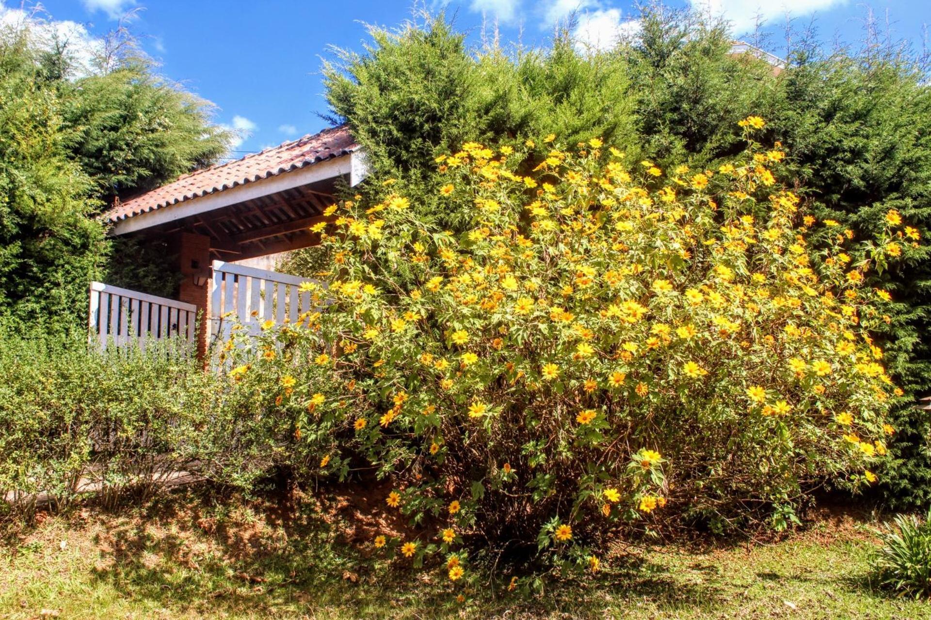 A Casa Dos Artistas Hotel - Campos do Jordao — Photos 2